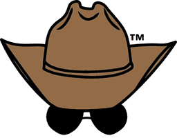TechDrover cowboy hat